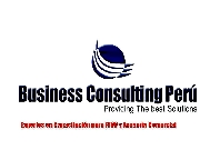 Business consulting per