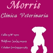 Morris clinica veterinaria