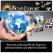 Asesora en comercio exterior: import /export
