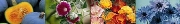 /Clases  y oferta de arreglos florales