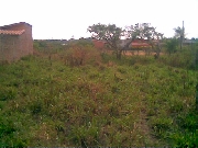 /Vendo lote de terreno en Santa Cruz bolivia