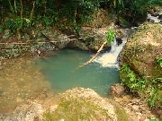 Terreno en La Ceiba - Atlntida