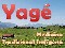 Yag&eacute; - planta medicinal y sagrada