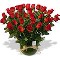 Florer&iacute;a a domicilio: arreglos florales- rosas