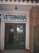 veterinaria michael - castraciones a domicilio