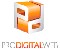 Director t&eacute;cnico - analista programador web