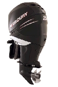 Vendo motores fuera de borda Mercury 