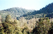 Vendo hermoso campo cordillerano en la ix region