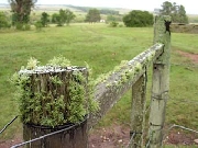 Campos, fincas, parcelas, en Argentina