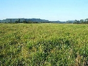 Fazenda de 1000ha em santa catarina - brasil