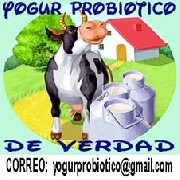 Yogur probiotico saludable sin preservantes