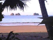 Playa ballena  osa  provincia puntarenas