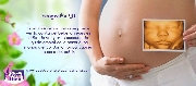 Control natal- ultrasonido obsttrico