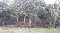 Solares de venta en jarabacoa epkasa (rms-110)