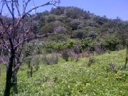 Venta de solar en jarabacoa epkasa (rms-114)