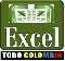 Profesor particular excel avanzado medellin