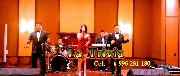 Orquesta show grupo musical orquesta la trivia