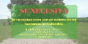 Se necesitan lotes con un minimo de 40 hectareas