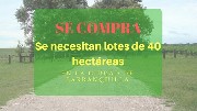 Se necesitan lotes de 40 hectreas