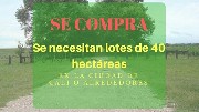 Se necesitan lotes de 40 hectreas en cali