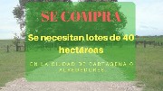 Se necesitan lotes de 40 hectreas en cartagena