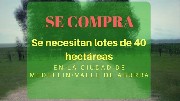 Se necesitan lotes de 40 hectreas en medelln