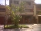 Linda casa- comoda espaciosa higuereta