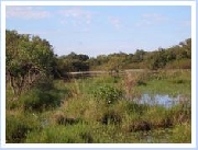 Campo en taucarembo -Uruguay 