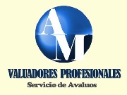 Am valuadores profesionales