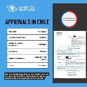 Homologaciones en Chile