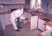 Fumigaciones - bacterclean