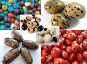 Semillas brasileras y collares