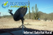 Elitesat networks internet satelital