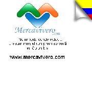 Tienda online colombiana