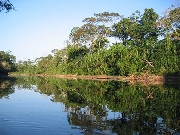 Venta de terreno para reforestacion