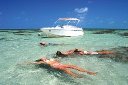 Venga a invertir en el paraiso maceio brasil