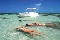 Venga a invertir en el paraiso maceio brasil