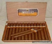 Habanos cohiba esplendido