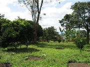 Hermosa finca en venta- en zona cafetera