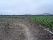 Vendo terreno de 2-300m2 al costado de club-u