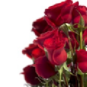 Floristerias - envio a domicilio