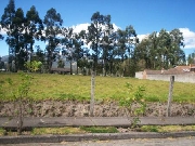 Hermoso terreno en amaguaa