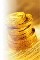 Somos el sistema numero uno de inversiones