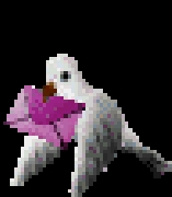 Vendo casa colonial. or time shere