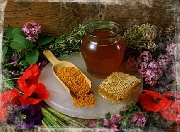 Miel de abejas 100% pura y natural