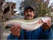 Pesca en berisso con los mellizos guias de pesca