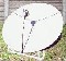 Sistema satelital:  free to air