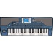 Korg pa800 61 key pro arranger keyboard