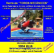 Toro mecnico