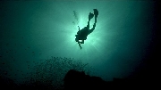 Cursos de buceo padi  en koh tao tailandia  2010